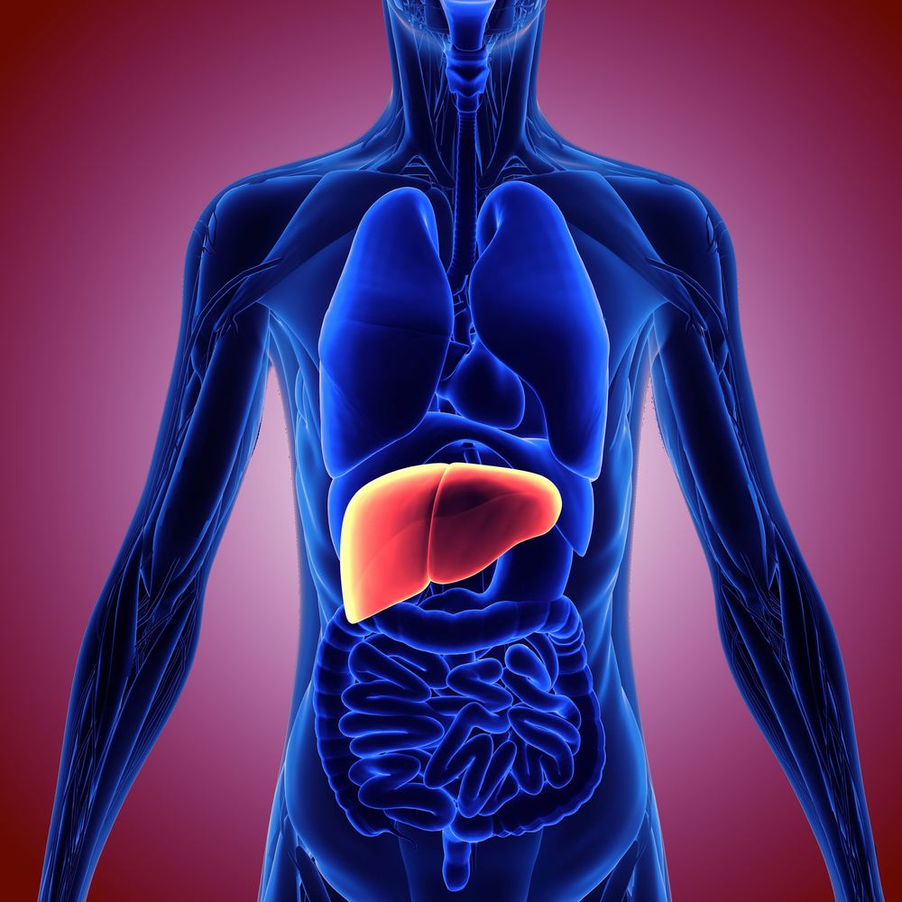 Testosterone and Liver Health